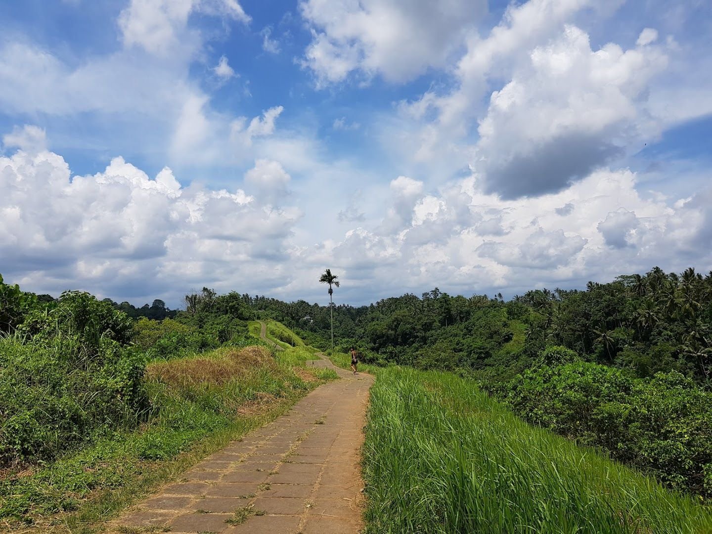 坎普汉山脊步道 参考图 1